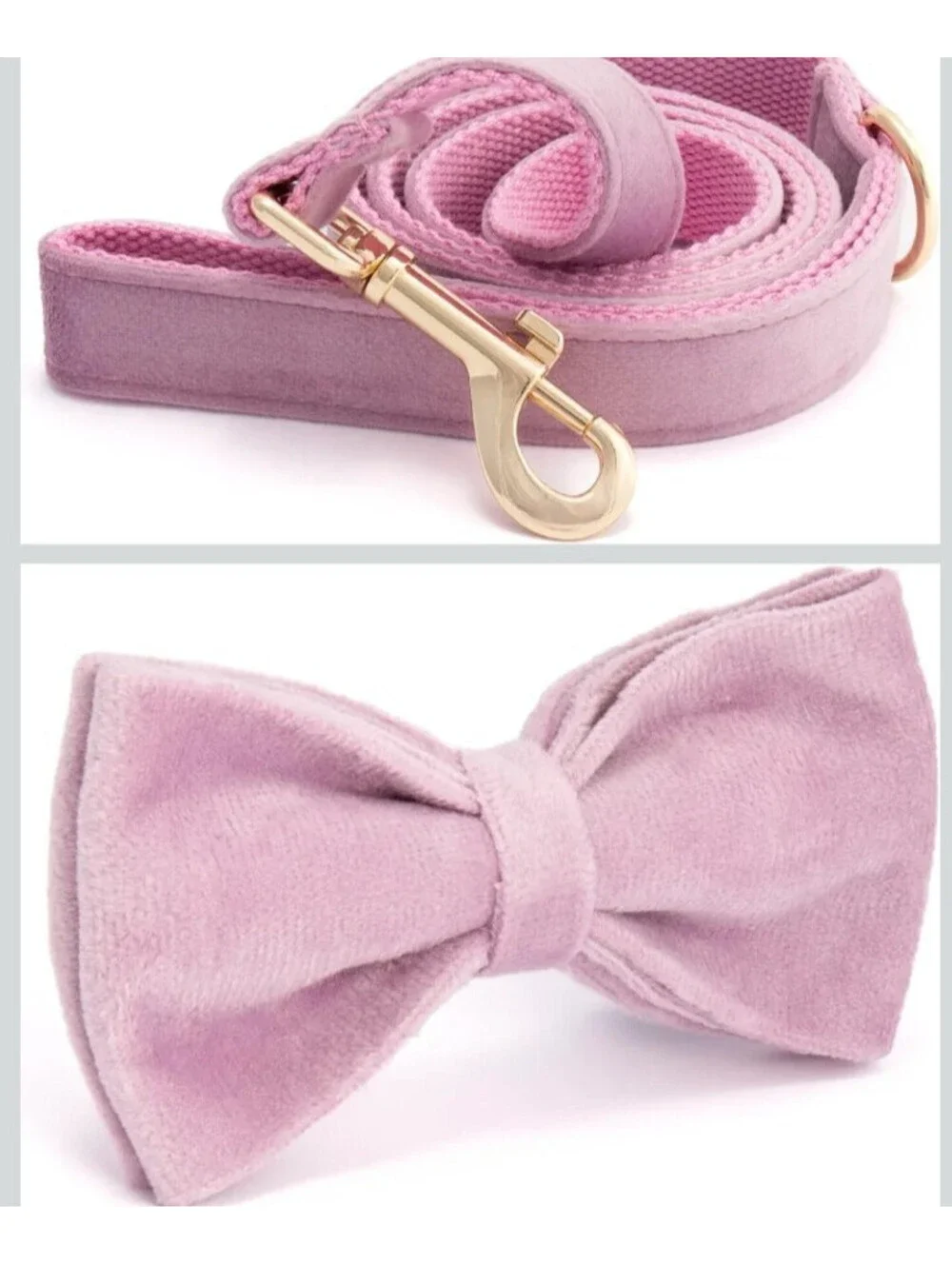 TRENDY PAWS PURPLE VELVET DOG HARNESS LEASH COLLAR BOWTIE BAG GIFT SET NEW XS
